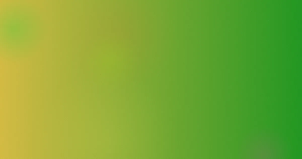 赵又廷个人资料避坑指南